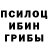 Галлюциногенные грибы мицелий Kukushka Tsoy
