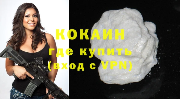 шишки Елизово