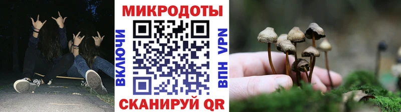 нарко площадка как зайти  Волгодонск  Псилоцибиновые грибы мухоморы 